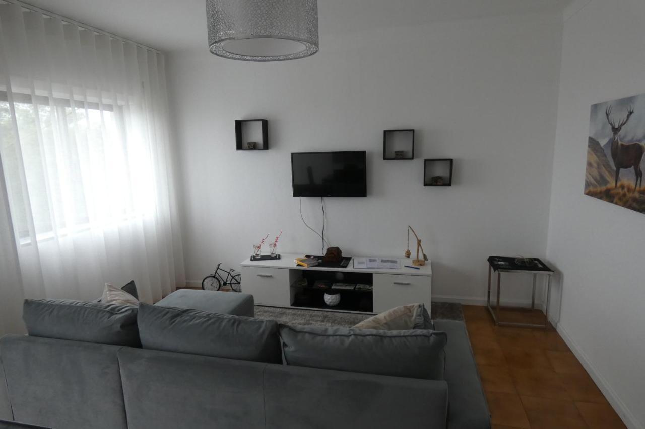 Casa Sandra - Apartamento Carlota Lousã Exteriér fotografie
